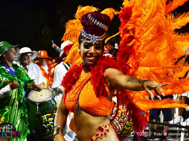 desfile 219